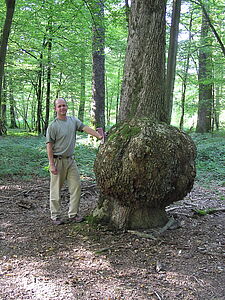 Marc Etienne Wilhelm - silvicultural trainer