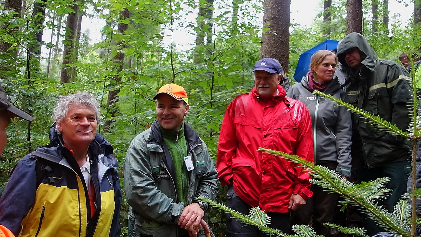 vibrant communication in the forest