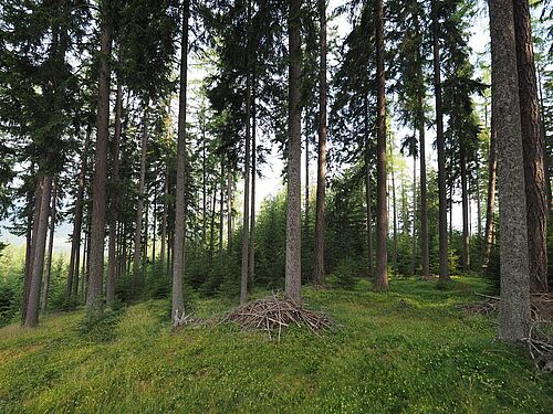 reference stand Reichenfels