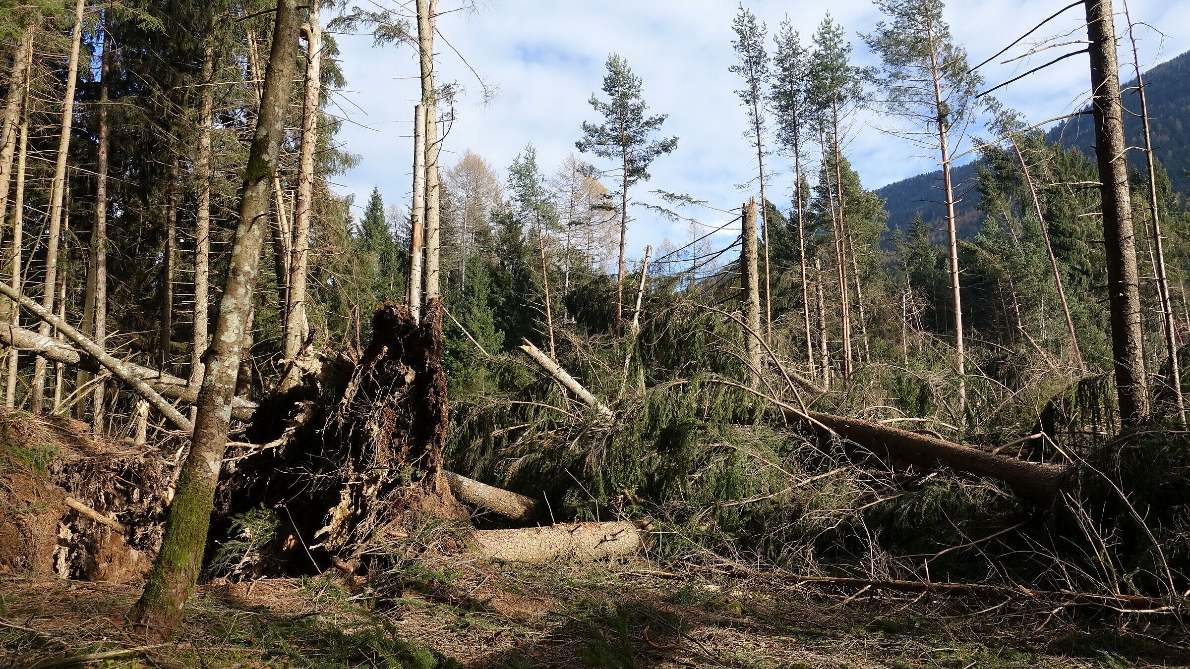 Altopiano di Piné (TN) (C) Luigi Torreggiani