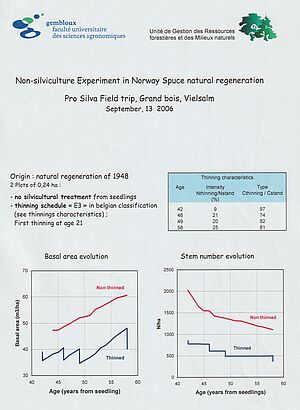 non silviculture experiment