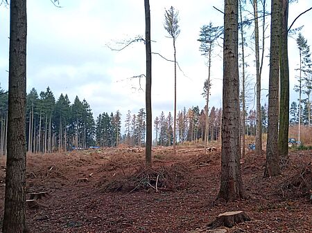 Foto (c) Milan Hron 2019