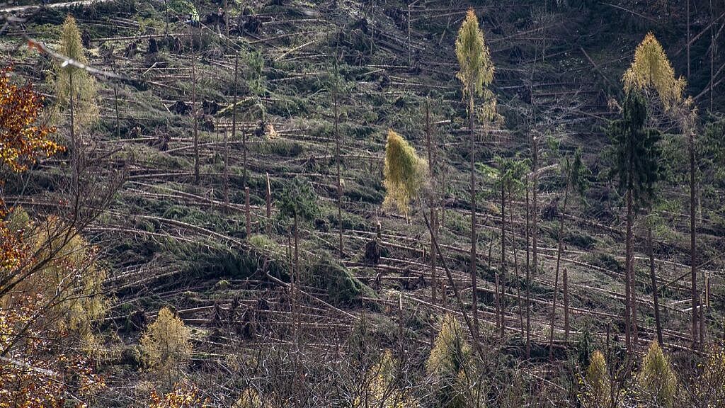 Nevegal (C) Francesco Sovilla