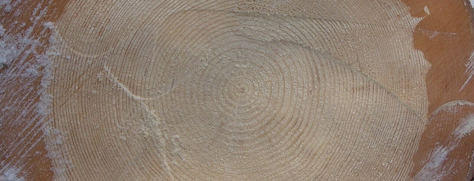 Vom Kern aus Wachsen