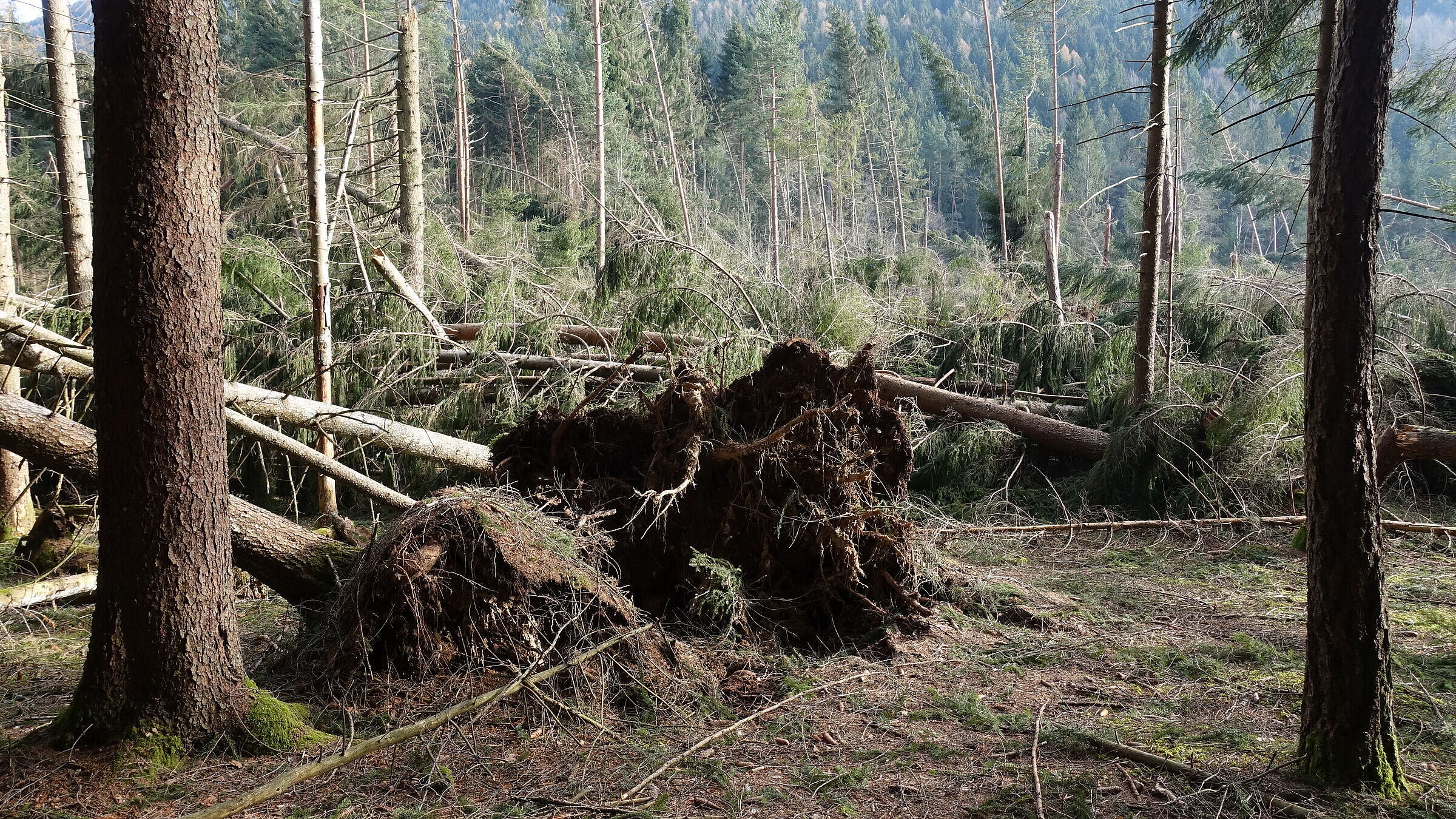 Altopiano di Piné (TN) (C) Luigi Torreggiani